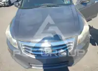 2011 Honda Accord photo