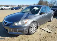 2011 Honda Accord фото