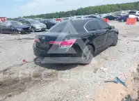 2011 Honda Accord photo