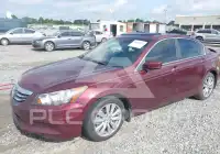 2011 Honda Accord фото