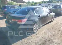2011 Honda Accord photo