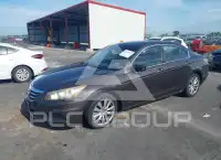 2011 Honda Accord фото