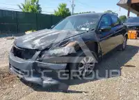 2011 Honda Accord photo