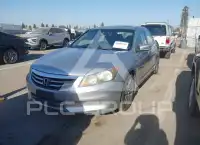 2011 Honda Accord фото