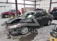 2011 Honda Accord фото