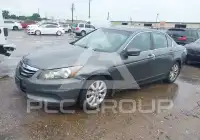 2011 Honda Accord фото