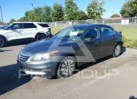 2011 Honda Accord photo