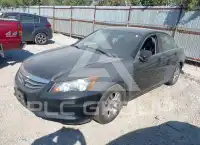2011 Honda Accord фото