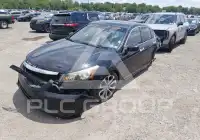 2011 Honda Accord фото