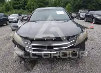 2011 Honda Accord photo