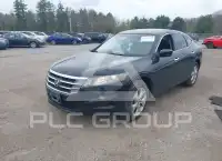 2011 Honda Accord фото