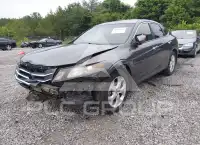 2011 Honda Accord photo