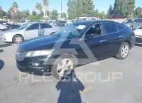 2011 Honda Accord фото