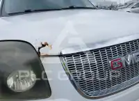 2011 GMC YUKON фото