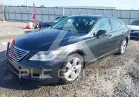 2011 Lexus LS460 фото