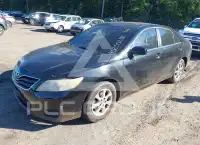 2011 Toyota CAMRY фото