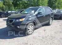 2011 KIA Sorento photo