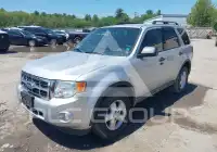2011 Ford ESCAPE photo