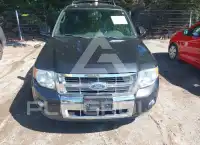 2011 Ford ESCAPE photo