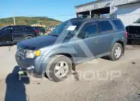 2011 Ford ESCAPE photo