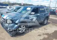 2011 Ford ESCAPE фото