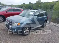 2011 Ford ESCAPE photo