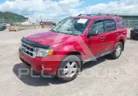 2011 Ford ESCAPE photo