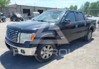 2011 Ford F-150 photo