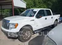 2011 Ford F-150 фото
