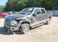 2011 Ford F-150 photo