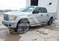 2011 Ford F-150 photo