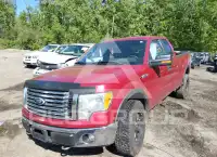 2011 Ford F-150 фото