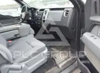 2011 Ford F-150 photo