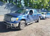 2011 Ford F-150 photo