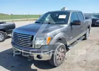 2011 Ford F-150 photo