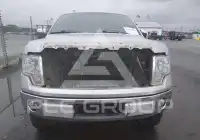 2011 Ford F-150 фото