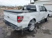 2011 Ford F-150 photo