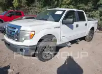 2011 Ford F-150 photo