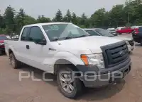 2011 Ford F-150 photo