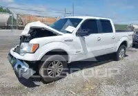 2011 Ford F-150 photo