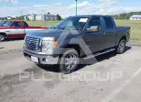 2011 Ford F-150 photo