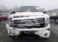 2011 Ford F-150 photo