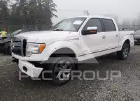 2011 Ford F-150 photo