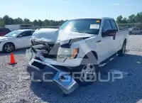 2011 Ford F-150 photo