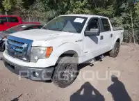 2011 Ford F-150 photo
