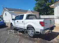 2011 Ford F-150 photo