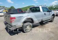 2011 Ford F-150 photo