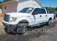 2011 Ford F-150 photo