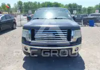 2011 Ford F-150 photo