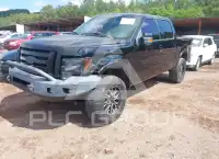 2011 Ford F-150 photo